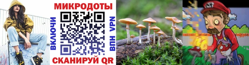 где купить наркоту  Семикаракорск  Псилоцибиновые грибы Cubensis 